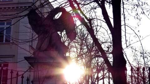 Eagle in the sun during sunset Stock Photos