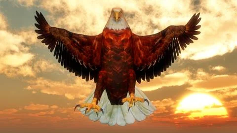 Eagle by sunset - 3D render Stock Illustration