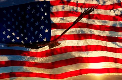 Eagle at sunset background with american flag - 3D rendering Illustrazione stock