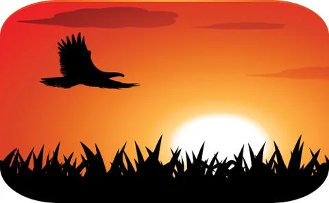 Eagle with sunset background Illustrazione stock