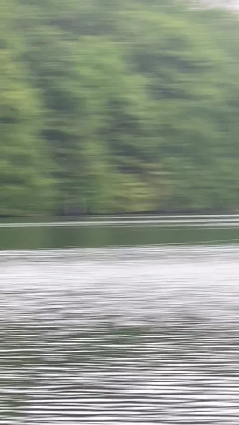 Eagle Swims to Shore With Massive Catch, New Jersey, USA - 21 May 2023 Stock Footage 242278434