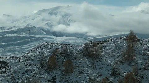 Eagle takes of in the mountains in winter Stock Footage 121399456