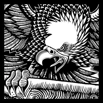 Eagle vector black and white Stock Illustration