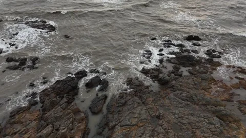 Eagle view of the coastal beach side Stock Footage 309929426