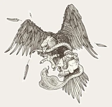 Eagle vs snake in skull in vector. Hand drawn illustration. Stock Illustration