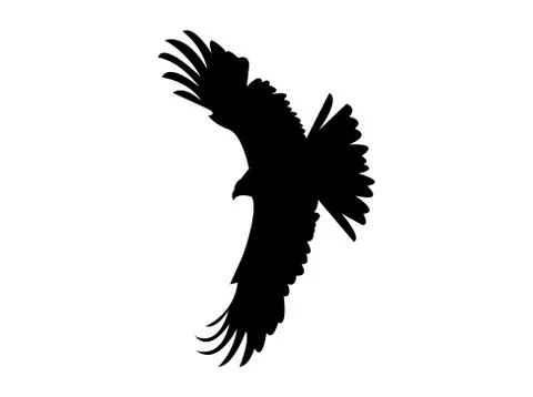 Eagle on white Stock Illustration