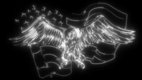 Eagle in white line on black background Stock Footage 276226832