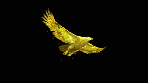 Eagle2 RGB Alpha Stock Footage 233091396