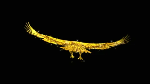Eagle3 RGB Alpha Stock Footage 233091398
