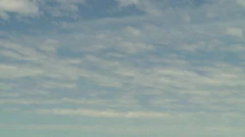 Eaglehawk Pan Down Stock Footage 10564450