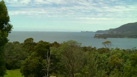 Eaglehawk Pan Right Stockbeeldmateriaal 10563178