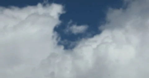 Eagles flying in sky Stock Footage 320359464