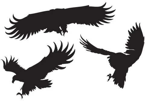 Eagles' silhouettes Stock Illustration
