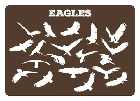 Eagles In Various Poses Stock Illustration