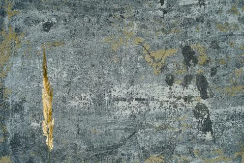 Ear on the background of a concrete wall Stock Photos