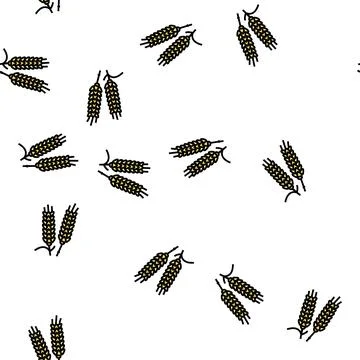 Ear barley grain vector seamless pattern Stock Illustration