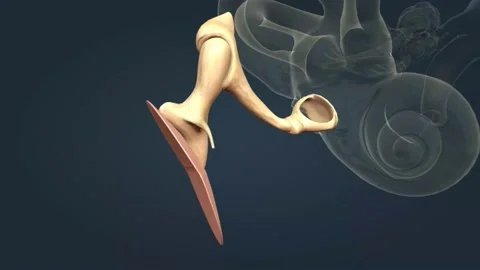 Is Any N Stock Videos – Royalty-Free HD & 4K Videos | Pond5