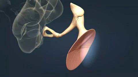 Auditory Stock Videos – Royalty-Free HD & 4K Videos | Page 2