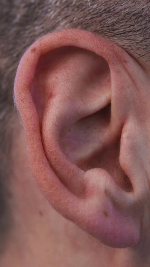 Ear Of A Caucasian Man Stock Footage 277960245