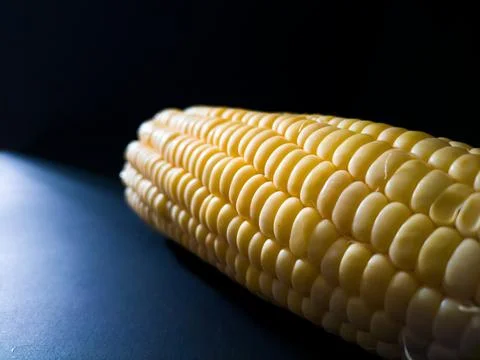 Ear of corn on black background Stock Photos