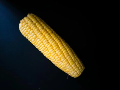 Ear of corn on black background Stock Photos