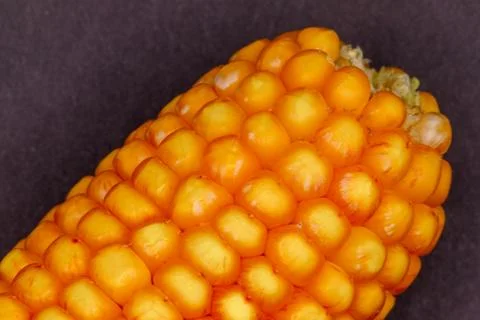 Ear of Corn Close-up Stock Photos