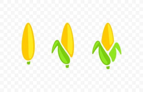 Ear corn, corn, corn cob, maize, food and meal, graphic design Stock Illustration
