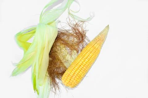 An ear of corn with fresh leaves isolated on a white isolated background Stock Photos