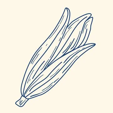 Ear of corn hand drawn blue ink clip art illustration Stock-Illustration
