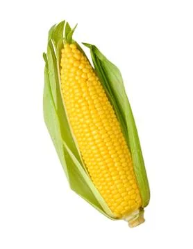Ear of corn isolated Stock Photos