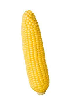 Ear of corn isolated Stock Photos