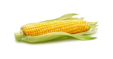 Ear of corn isolated on white background Foto stock