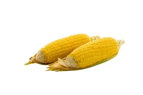 An ear of corn isolated on a white background Stock Photos