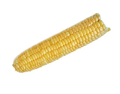 An ear of corn isolated on a white background Stock Photos