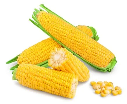 Ear of corn isolated on a white background. Clipping path and full depth of Foto stock