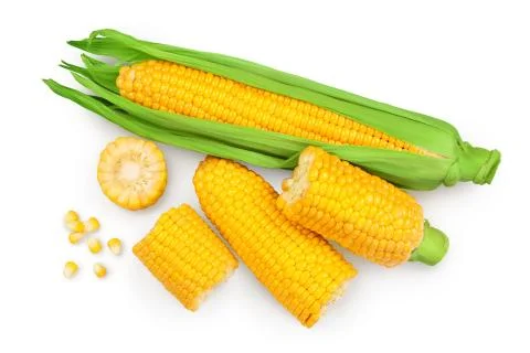 Ear of corn isolated on a white background. Clipping path. Top view. Flat lay Stock Photos
