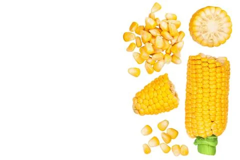 Ear of corn isolated on a white background. Top view with copy space for your Stock Photos