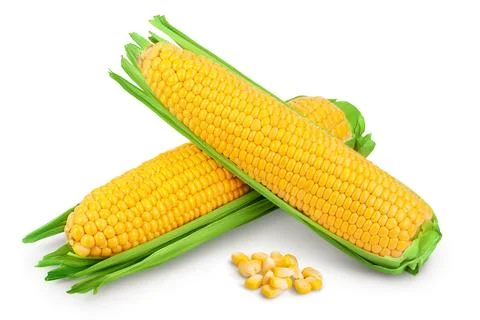 Ear of corn isolated on a white background. Clipping path and full depth of Foto stock