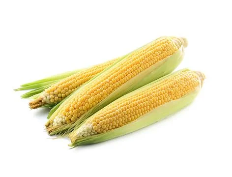 An ear of corn isolated on a white background. Foto stock