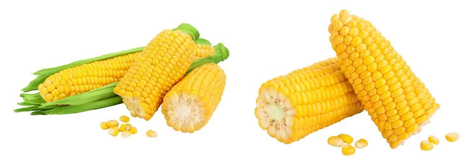 Ear of corn isolated on a white background. Clipping path and full depth of Stock Photos