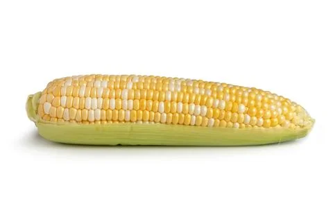 An ear of corn isolated on a white background Stock Photos