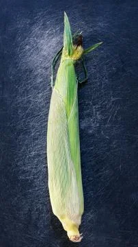 Ear of corn with leaves on dark background Stock Photos