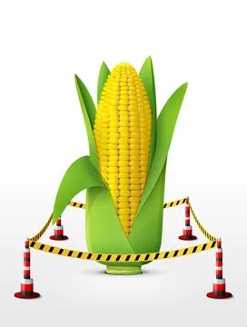 Ear of corn located in restricted area Stock Illustration