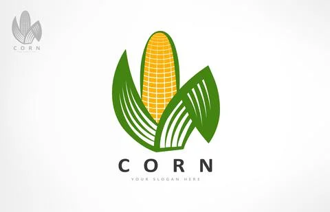 Ear of corn logo vector. Food design. Stock Illustration