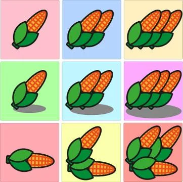 An ear of corn, or maize, partially husked to show its buttery-yellow ke Illustrazione stock