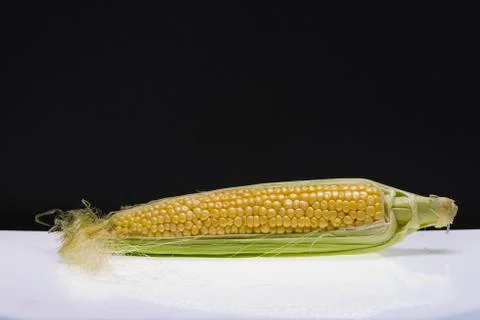 Ear of corn Stock Photos