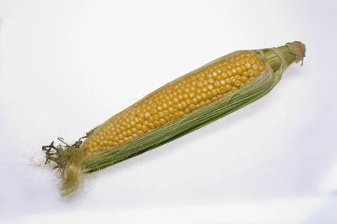 Ear of corn Stock Photos