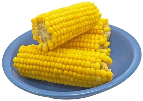 Ear of Corn Stock Photos