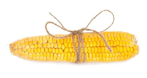 Ear of corn with rope Stock Photos