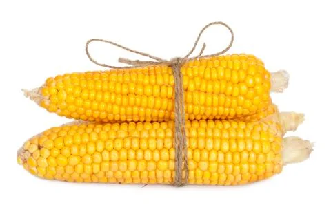 Ear of corn with rope Stock Photos